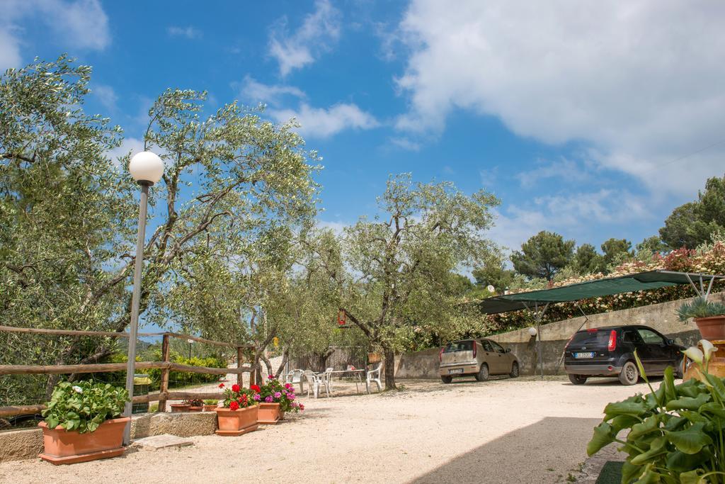 ויאסטה Alba Del Gargano Home מראה חיצוני תמונה