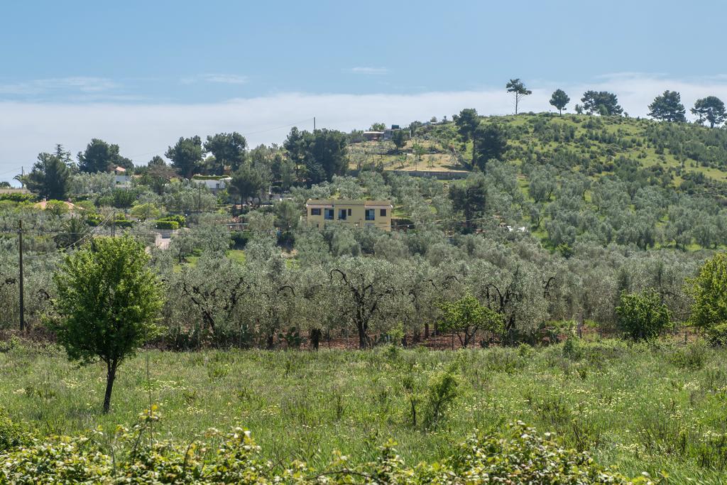 ויאסטה Alba Del Gargano Home מראה חיצוני תמונה