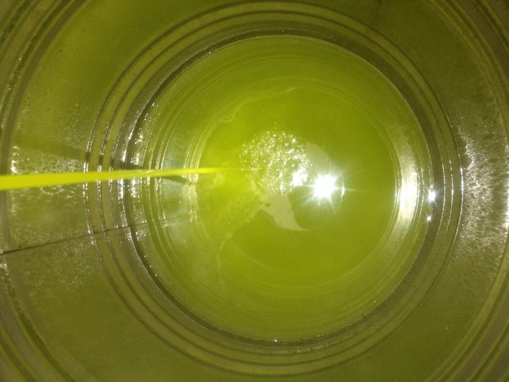 ויאסטה Alba Del Gargano Home מראה חיצוני תמונה
