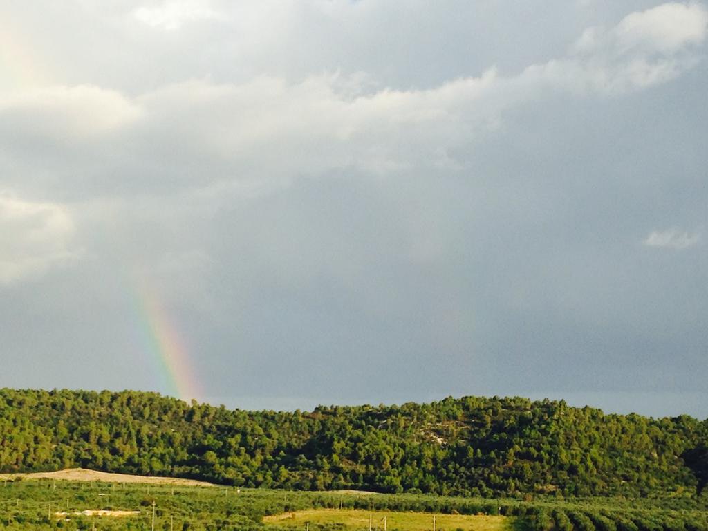 ויאסטה Alba Del Gargano Home מראה חיצוני תמונה
